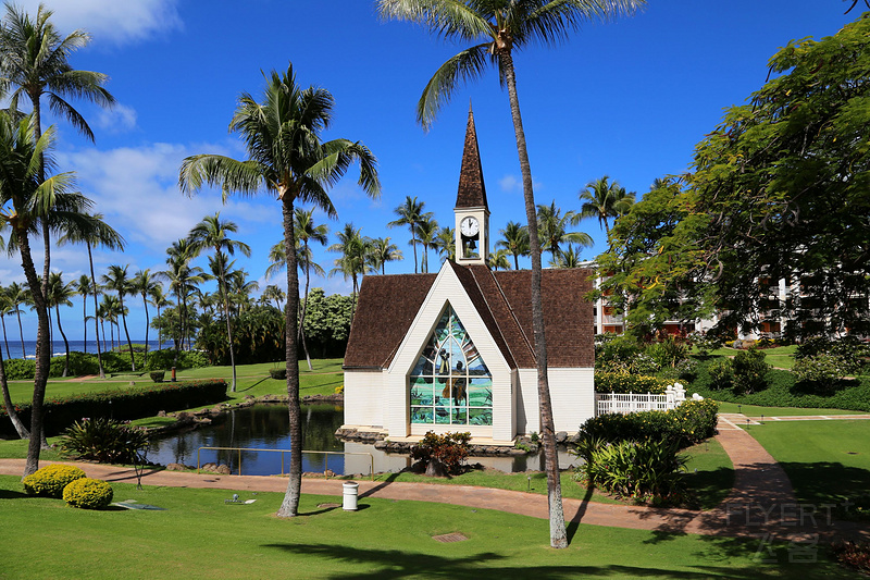 Maui--Grand Wailea a Waldorf Astoria Resort Outdoor Gardens (70).JPG