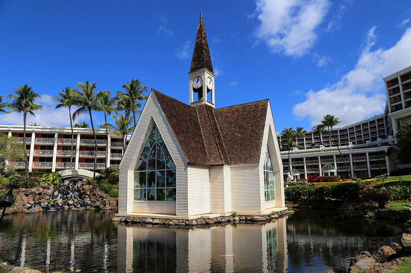 Maui--Grand Wailea a Waldorf Astoria Resort Outdoor Gardens (74).JPG