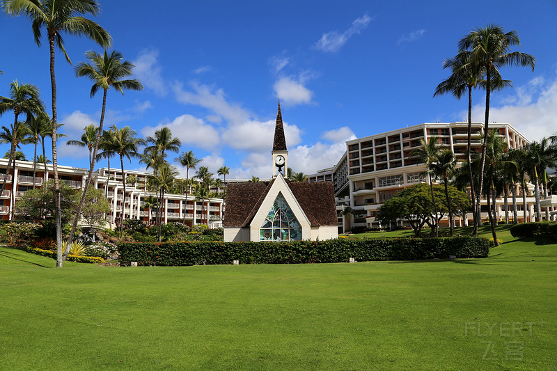 Maui--Grand Wailea a Waldorf Astoria Resort Outdoor Gardens (75).JPG
