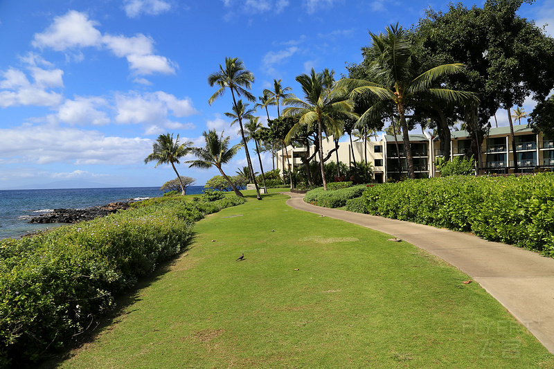 Maui--Wailea Beach Path (4).JPG