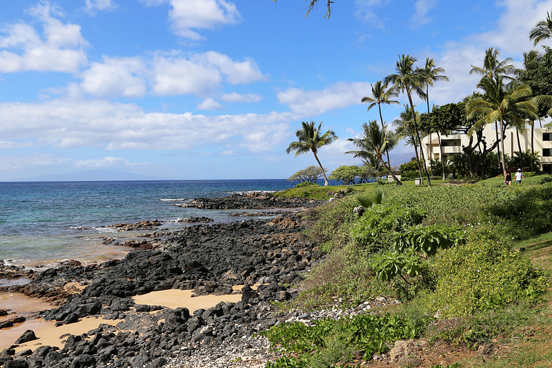 Maui--Wailea Beach Path (3).JPG