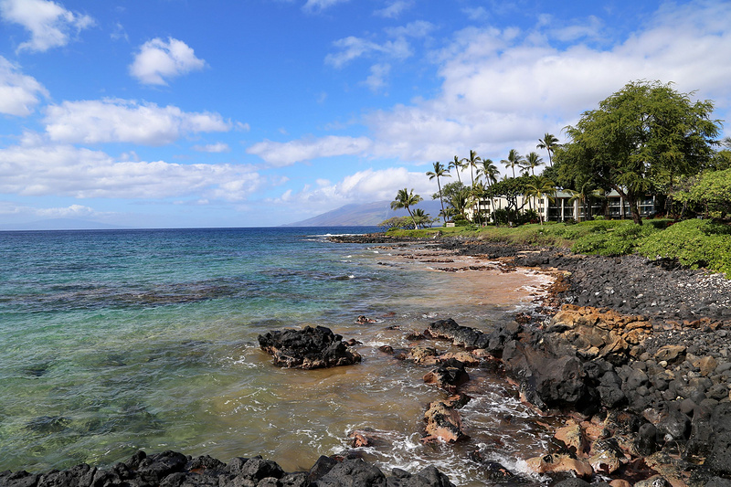 Maui--Wailea Beach Path (2).JPG