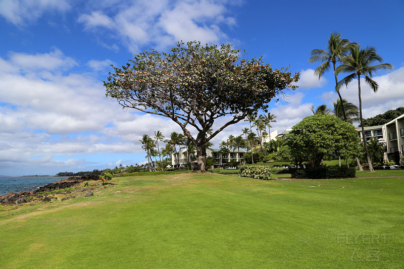 Maui--Wailea Beach Path (9).JPG