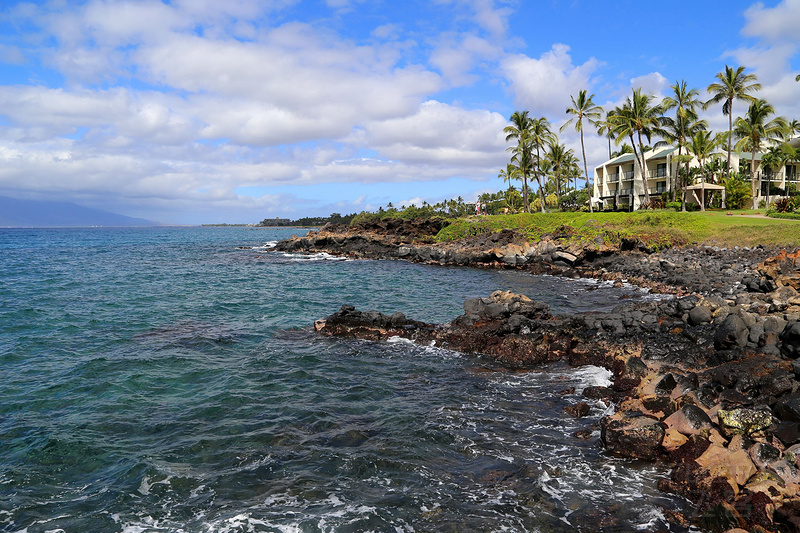 Maui--Wailea Beach Path (10).JPG