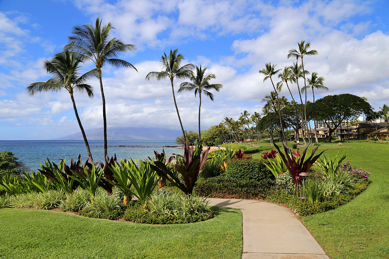 Maui--Wailea Beach Path (12).JPG