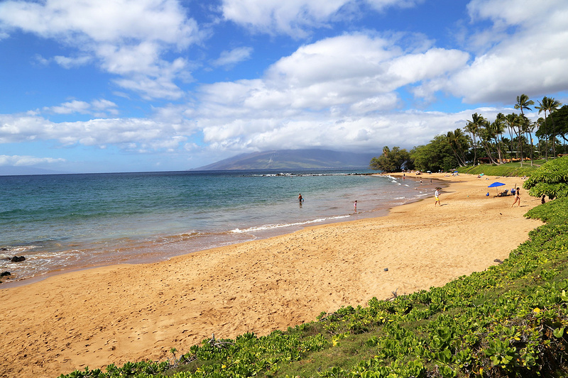 Maui--Wailea Beach Path (14).JPG
