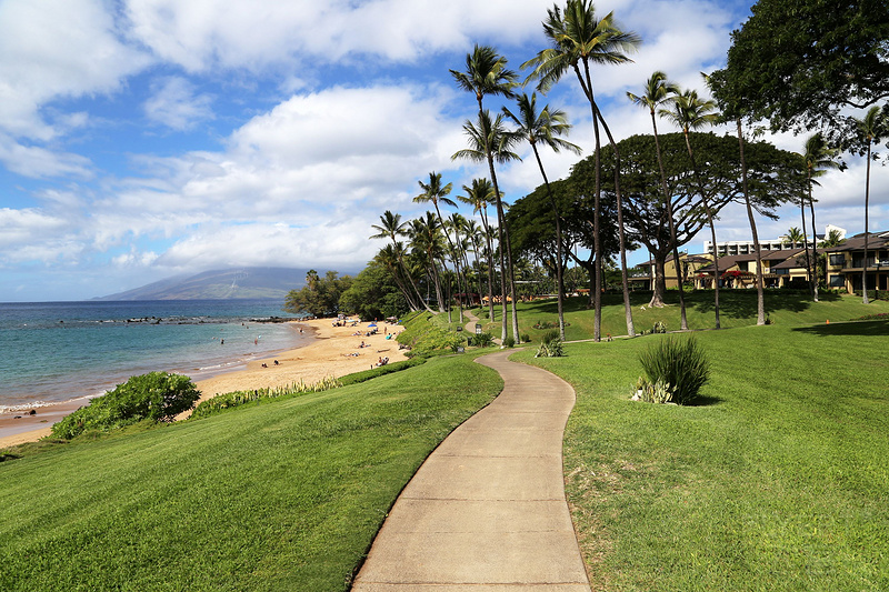 Maui--Wailea Beach Path (17).JPG