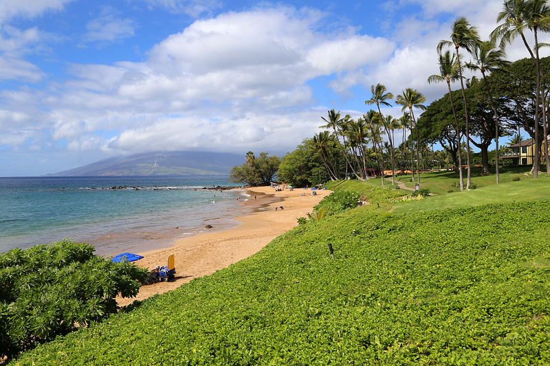 Maui--Wailea Beach Path (15).JPG