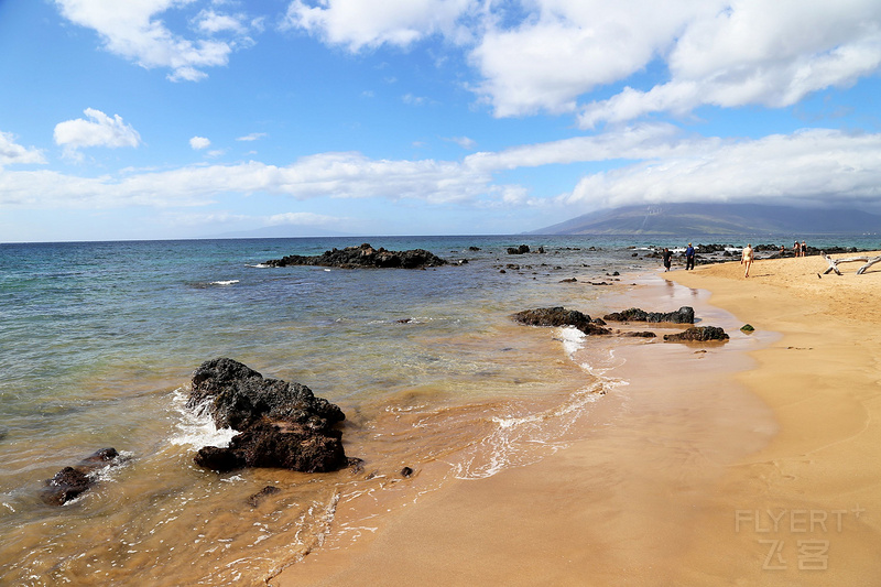 Maui--Wailea Beach Path (23).JPG