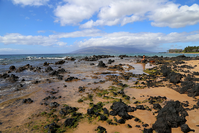 Maui--Wailea Beach Path (25).JPG