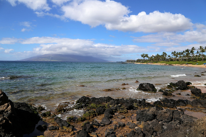 Maui--Wailea Beach Path (35).JPG