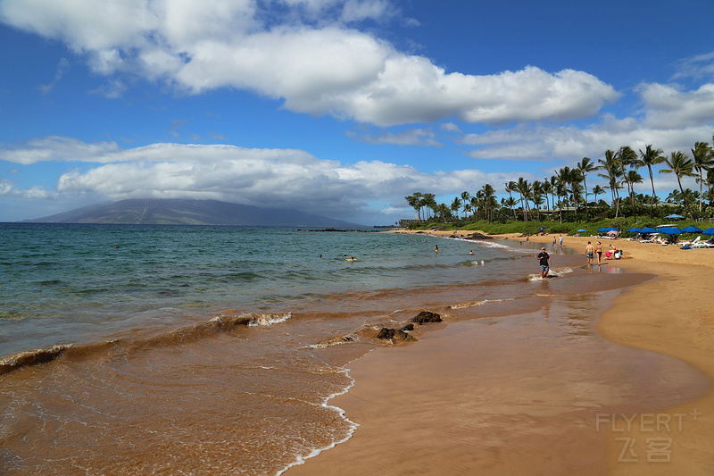 Maui--Wailea Beach Path (34).JPG