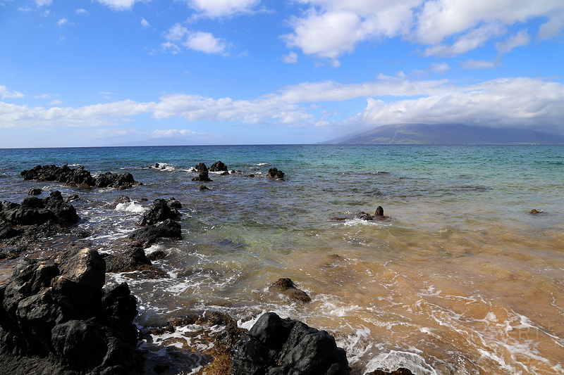 Maui--Wailea Beach Path (29).JPG