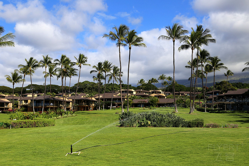 Maui--Wailea Beach Path (37).JPG