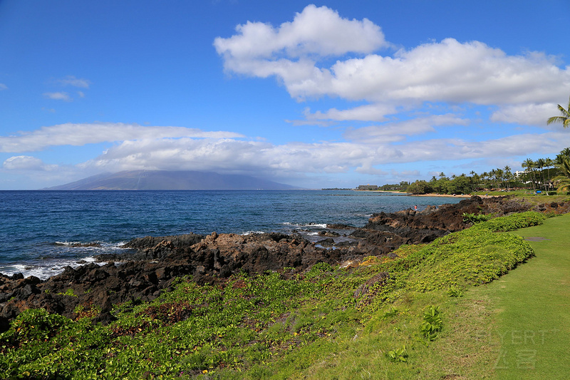 Maui--Wailea Beach Path (38).JPG