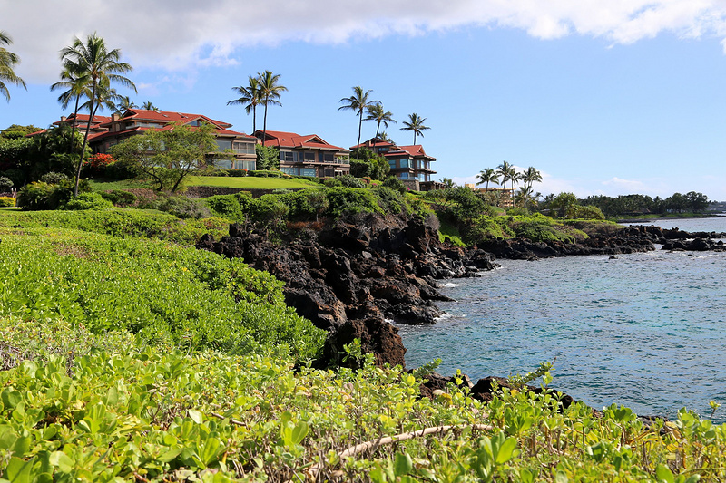 Maui--Wailea Beach Path (40).JPG