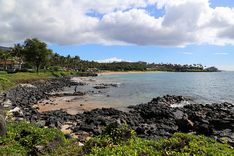 Maui--Wailea Beach Path (39).JPG