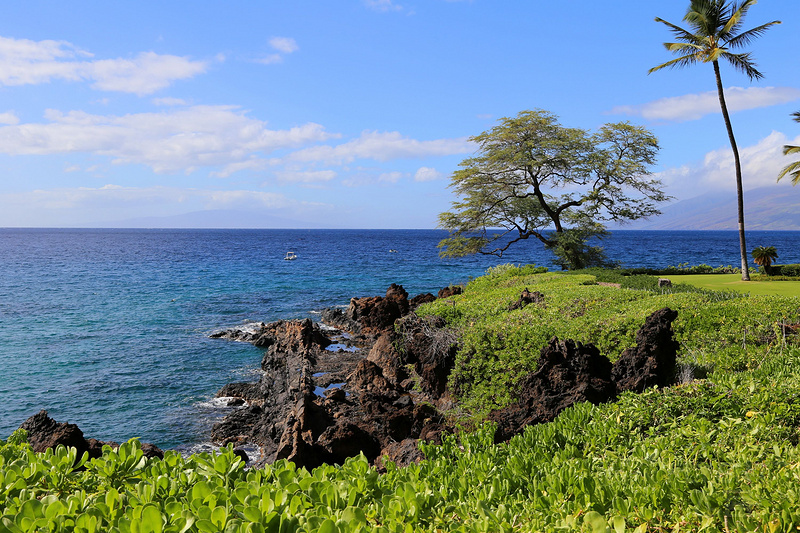 Maui--Wailea Beach Path (42).JPG