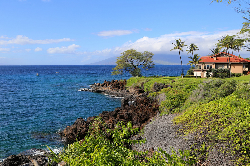 Maui--Wailea Beach Path (43).JPG