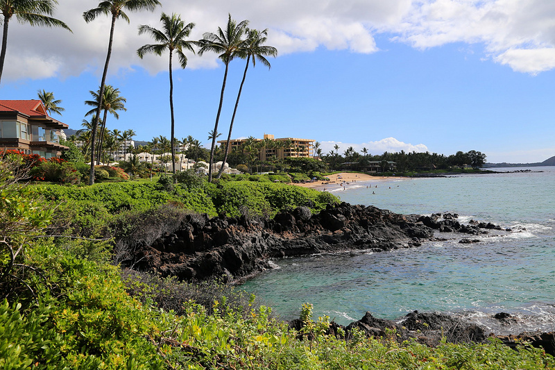 Maui--Wailea Beach Path (46).JPG