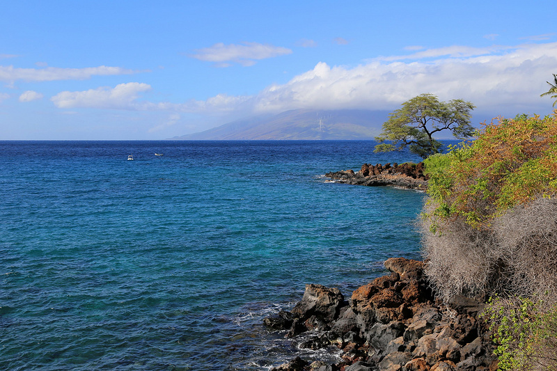 Maui--Wailea Beach Path (44).JPG