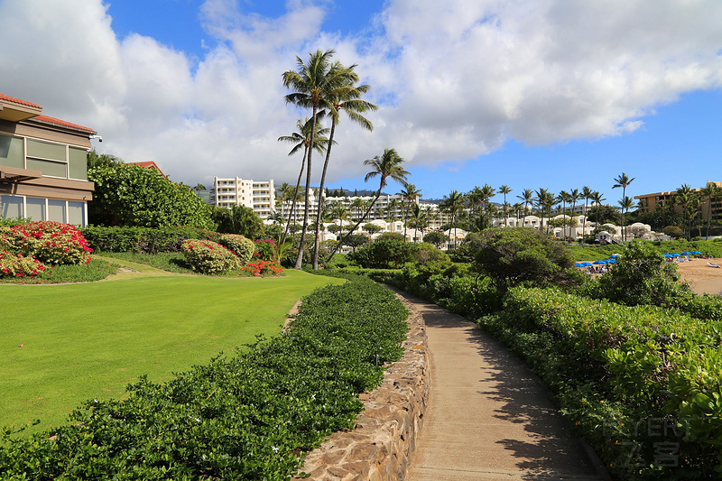 Maui--Wailea Beach Path (48).JPG