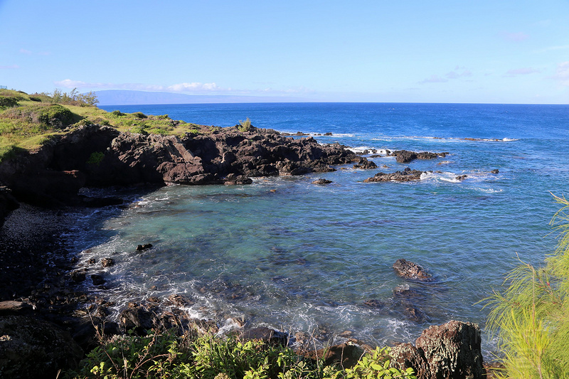 Maui--Kapalua Coastal Trail (18).JPG