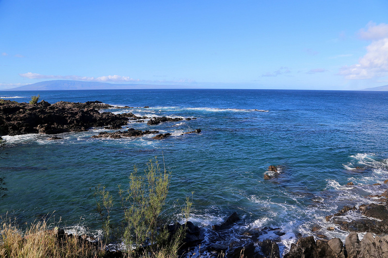 Maui--Kapalua Coastal Trail (19).JPG