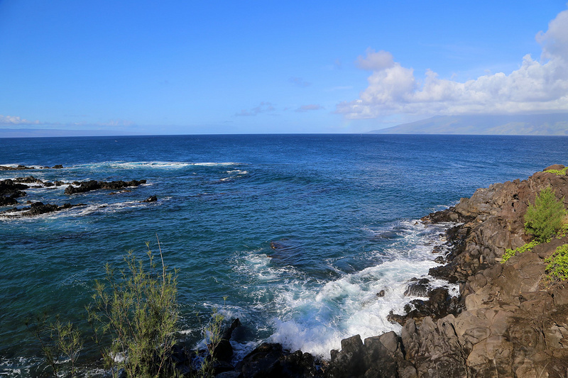 Maui--Kapalua Coastal Trail (20).JPG