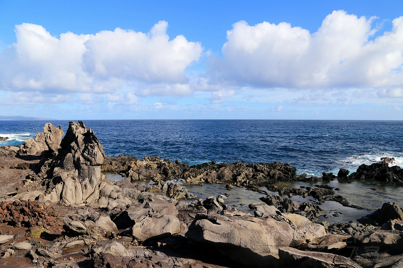 Maui--Kapalua Coastal Trail (21).JPG