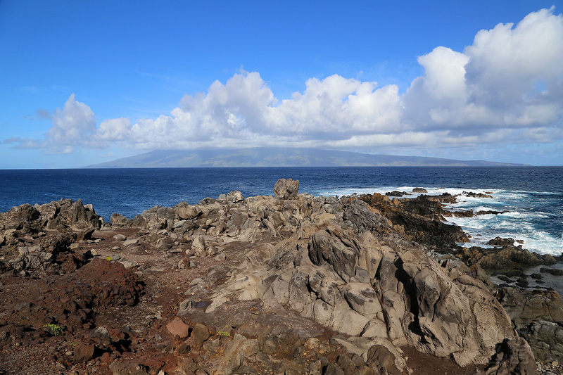 Maui--Kapalua Coastal Trail (24).JPG