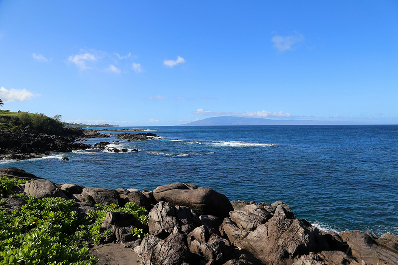 Maui--Kapalua Coastal Trail (26).JPG