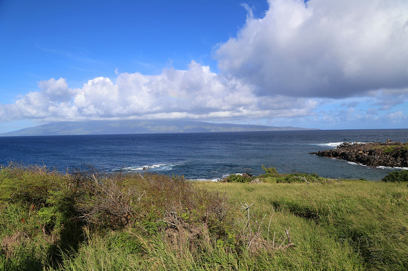 Maui--Kapalua Coastal Trail (28).JPG