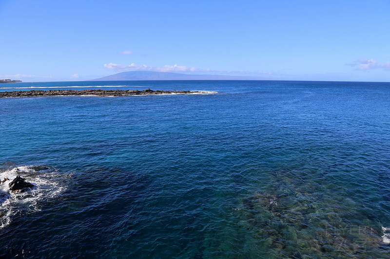 Maui--Kapalua Coastal Trail (31).JPG