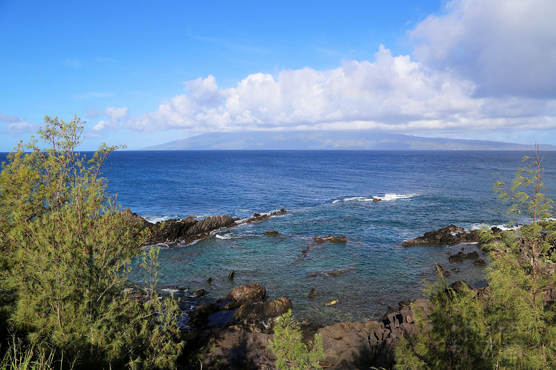 Maui--Kapalua Coastal Trail (29).JPG