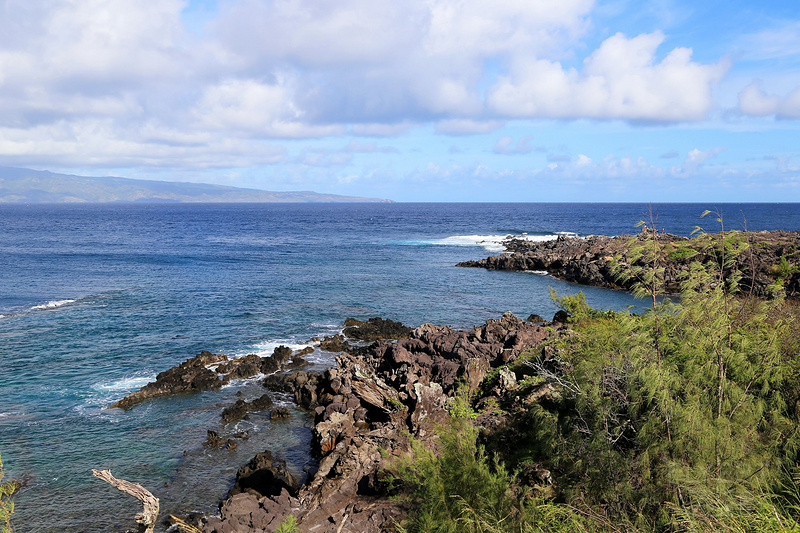 Maui--Kapalua Coastal Trail (34).JPG