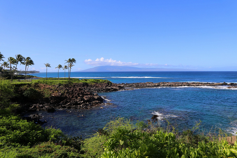 Maui--Kapalua Coastal Trail (36).JPG