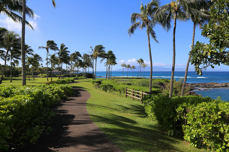 Maui--Kapalua Coastal Trail (38).JPG