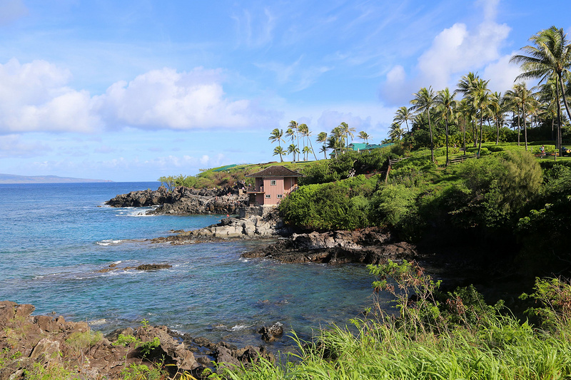 Maui--Kapalua Coastal Trail (40).JPG