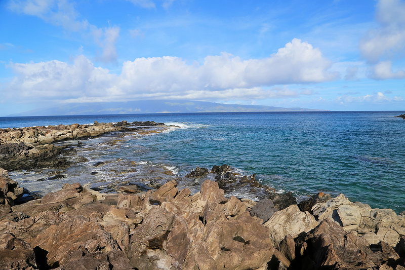 Maui--Kapalua Coastal Trail (44).JPG