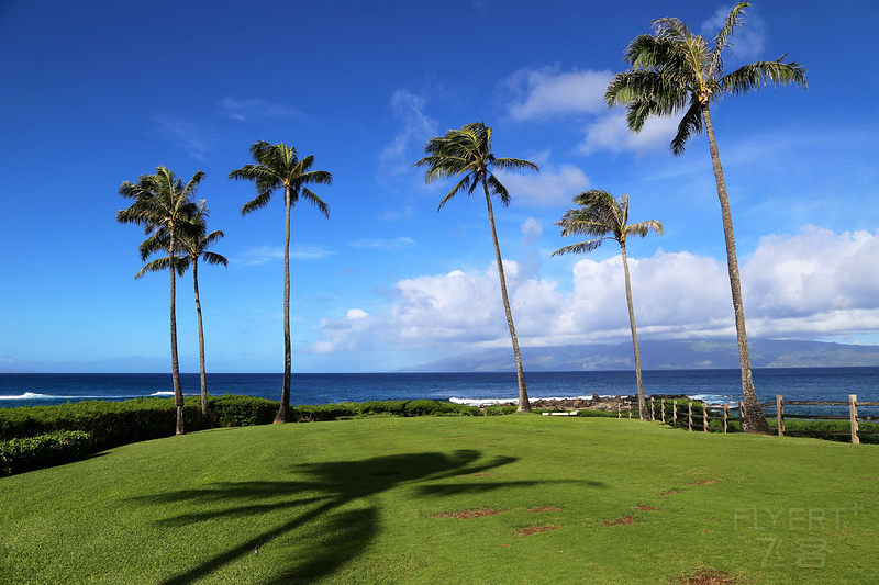 Maui--Kapalua Coastal Trail (45).JPG