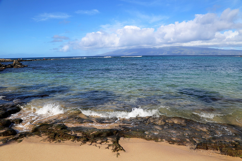 Maui--Kapalua Coastal Trail (46).JPG