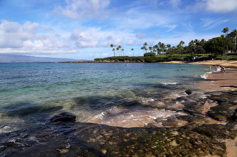 Maui--Kapalua Coastal Trail (48).JPG