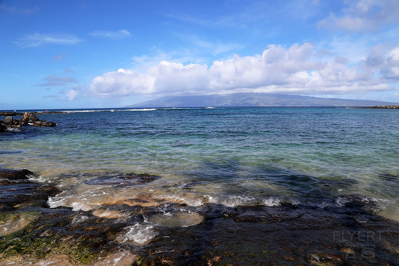 Maui--Kapalua Coastal Trail (50).JPG