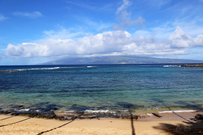 Maui--Kapalua Coastal Trail (52).JPG