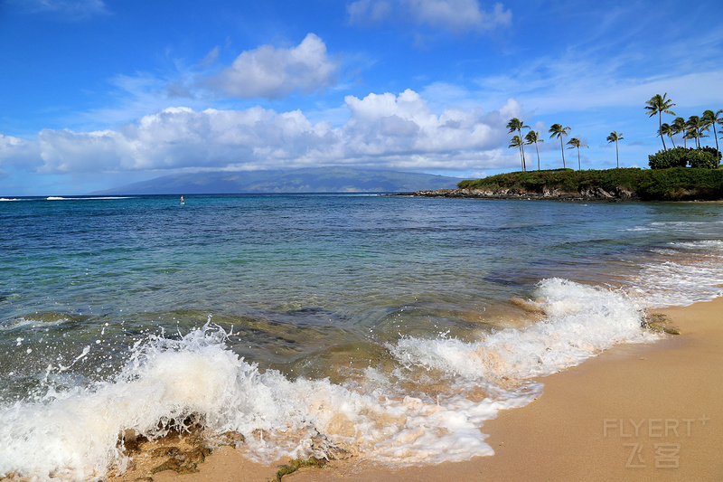 Maui--Kapalua Coastal Trail (54).JPG