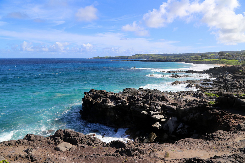 Maui--Kapalua Coastal Trail (57).JPG