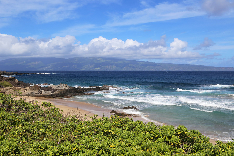 Maui--Kapalua Coastal Trail (61).JPG