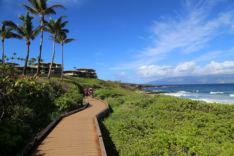 Maui--Kapalua Coastal Trail (64).JPG