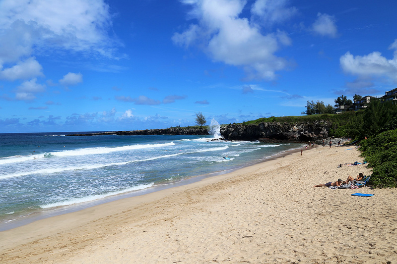 Maui--Kapalua Coastal Trail (67).JPG